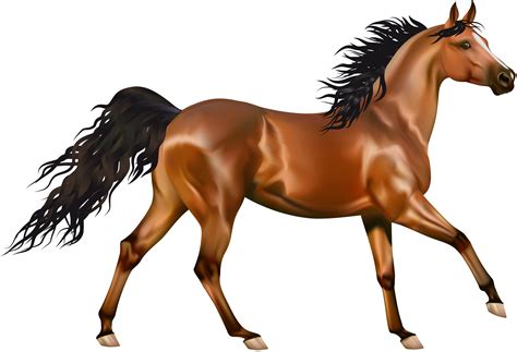 horse clipart|realistic horse clip art.